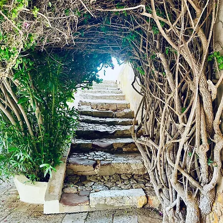 Nyaraló Casa Doce Do Algarve *