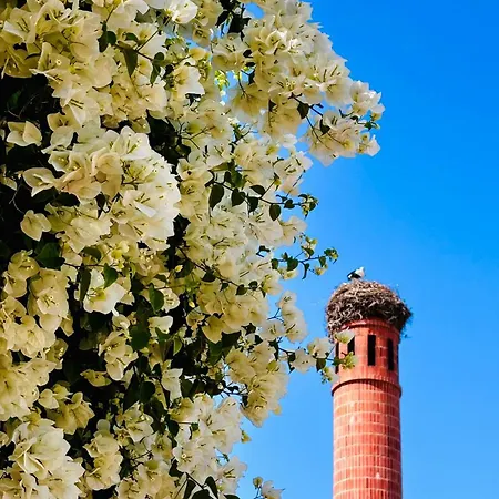 Casa Doce Do Algarve 度假居 波尔蒂芒